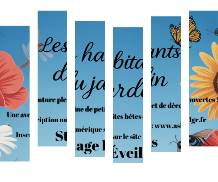 A New Rhythm Designed